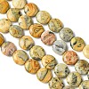 Flat Round Natural Crazy Lace Agate Beads Strands G-S110-05-2