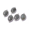 Platinum Tone Brass Natural Labradorite Links connectors G-F339-B12-1