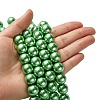 Electroplate Glass Pearl Beads Strands HY-F001-14mm-02-3