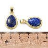 Natural Lapis Lazuli Pendants G-M405-05G-03-2