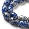 Natural Blue Spot Jasper Beads Strands G-B106-B29-01-4