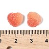 Imitation Candy Food Style Resin Cabochons RESI-R461-01F-3