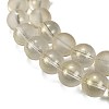 Frosted Transparent Glass Bead Strands GLAA-P065-10mm-01-4