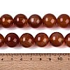 Natural Red Agate Beads Strands G-Q606-16MM-01-4