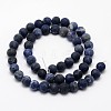 Natural Sodalite Beads Strands G-D682-8mm-2