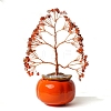 Natural Carnelian Chips Money Tree Display Decorations PW-WGA6D4E-02-1