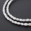 Natural Freshwater Shell Beads Strands X-SHEL-N027-08A-4