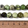 Natural Serpentine Beads Strands G-Q616-07D-5