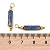 Natural Lapis Lazuli Pendants GG-CBA5E56-01G-01-3