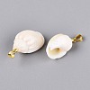Brass & Natural Spiral Shell Pendants SHEL-Q029-13KCG-2