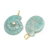 Natural Amazonite Pendants G-H353-02G-08-2