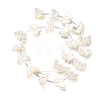 Natural White Shell Beads BSHE-Z008-01-1