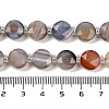 Natural Botswana Agate Beads Strands G-C116-A65-01-5