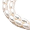Natural Cultured Freshwater Pearl Beads Strands PEAR-I007-01P-05-4