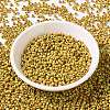 MIYUKI Round Rocailles Beads SEED-G008-RR4512-2