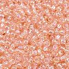 TOHO 11/0 Round Beads SEED-TR11-0169-2