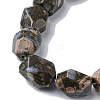 Natural Llanite Beads Strands G-F743-04E-4