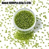 60G Glass Seed Beads SEED-YW0002-84D-1