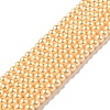 Eco-Friendly Dyed Glass Pearl Round Beads Strands HY-A002-4mm-RB072-1