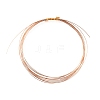 925 Sterling Silver Wire FIND-WH0144-78RG-1