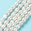 Natural Cultured Freshwater Pearl Beads Strands PEAR-Z002-18-2