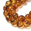 Natural Amber Beads Strands G-K387-D02-02-3