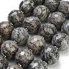 Natural Map Stone Beads Strands GG-CBA007A-D06-02-1