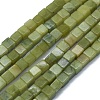 Natural Xinyi Jade/Chinese Southern Jade Beads Strands G-F631-C03-02-1