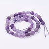 Natural Amethyst Bead Strands G-J374-02-2