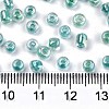 8/0 Glass Seed Beads SEED-A016-3mm-216-3