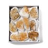Natural Citrine Display Decorations G-H084-02B-1