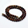 Natural Polychrome Jasper/Picasso Stone/Picasso Jasper Beads Strands G-I199-09-12mm-2