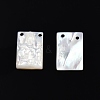 Natural White Shell Charms SSHEL-N003-140-1