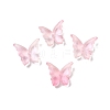 Glass Beads GLAA-D303-06B-1