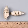 Electroplated Natural Shell Pendants BSHE-Q020-05-4