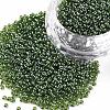 12/0 Grade A Round Glass Seed Beads SEED-Q011-F525-1