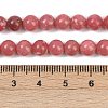Natural Thulite Beads Strands G-Z044-A02-01-4