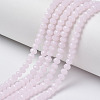 Glass Beads Strands EGLA-A044-J6mm-D02-1