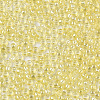 Glass Seed Beads X-SEED-S042-11A-05-3