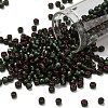 TOHO 6/0 Round Beads X-SEED-TR06-2204-1
