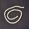 Natural Freshwater Shell Beads Strands SHEL-C003-10-3