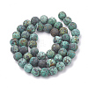 Natural African Turquoise(Jasper) Beads Strands X-G-T106-206-3