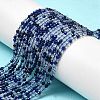 Transparent Glass Beads Strands GLAA-H027-01B-2
