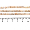 Natural Freshwater Shell Beads Strands SHEL-P017-01B-10-4