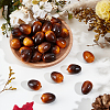 Foam Chinese Olive Display Decoration DJEW-GF0001-90B-4