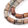 Natural Aqua Terra Jasper Beads Strands G-T140-93-3