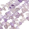 Natural Amethyst Beads Strands G-P604-A09-01-2