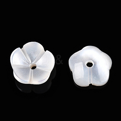 Natural White Shell Beads SSHEL-S260-053-1