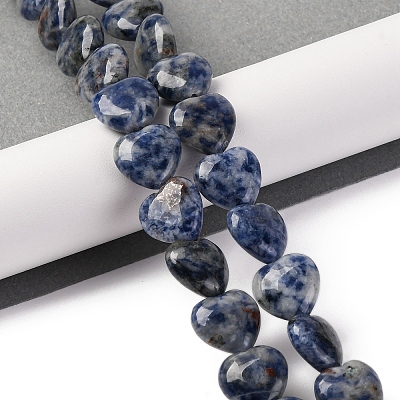 Natural Blue Spot Jasper Beads Strands G-I372-A13-02-1