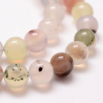 Natural Dendritic Agate Bead Strands G-G880-01-8mm-1